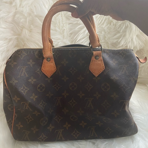 Louis Vuitton Handbags - Louis Vuitton Speedy 30